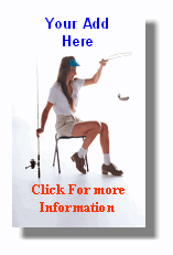 Your Add Here